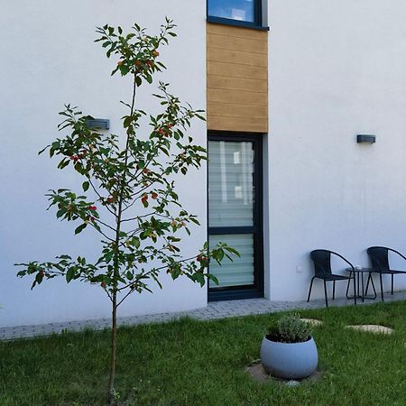 Apartament Sosnowa Puławy Exteriör bild