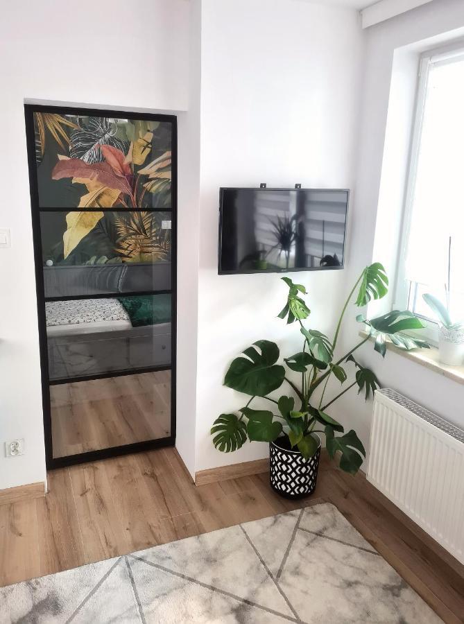 Apartament Sosnowa Puławy Exteriör bild