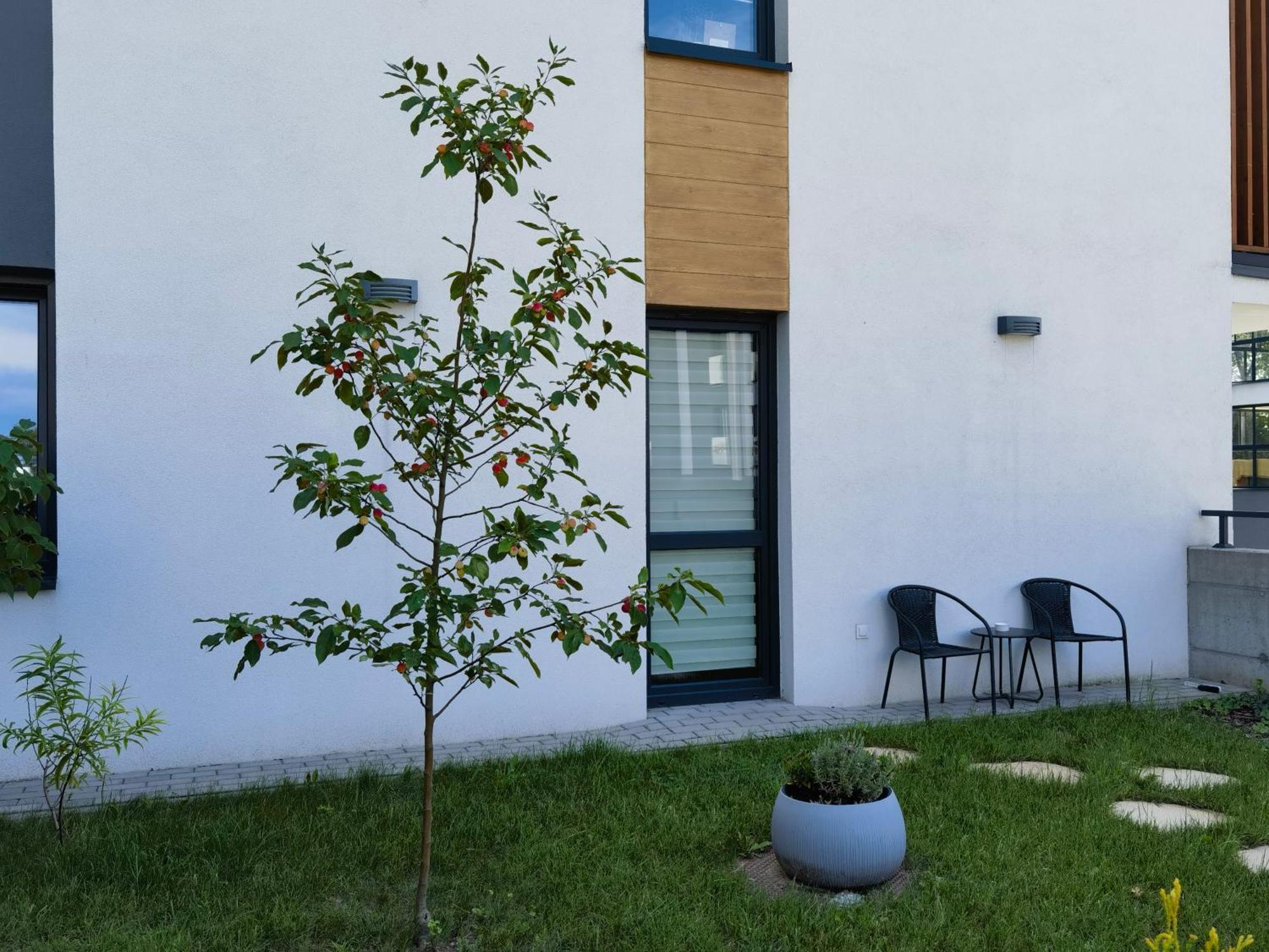 Apartament Sosnowa Puławy Exteriör bild